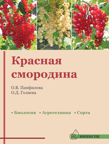 Смородина красная (биология, агротехника, сорта: рекомендации.